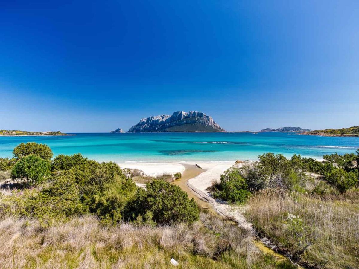 Attico Vespucci Luxury Penthouse Apartment Olbia Ngoại thất bức ảnh